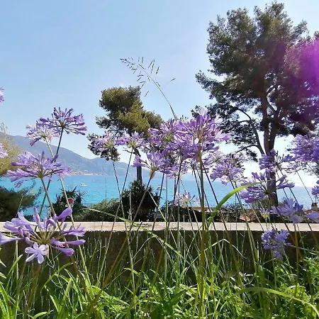 Les Pieds Dans L'eau * Roquebrune-Cap-Martin