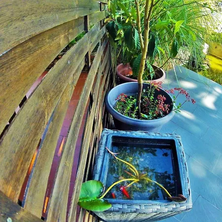 Les Pieds Dans L'eau Roquebrune-Cap-Martin