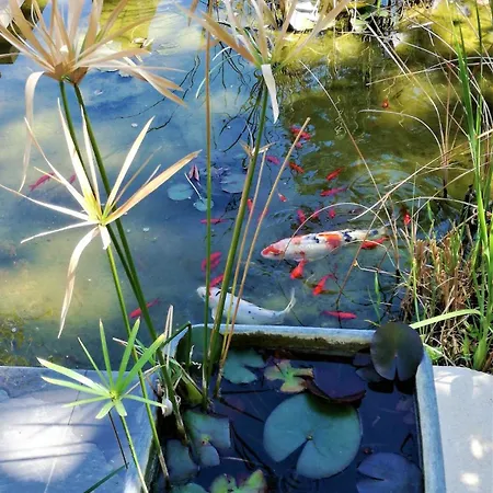 דירה Les Pieds Dans L'eau *